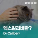 힐링동물병원 &  건강검진센터 이미지