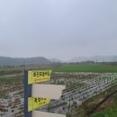 화진포둘레길(죽정리) 이미지