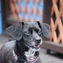 소풍(동행) 이미지