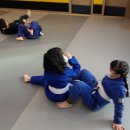 용인대 특전합기도 이미지