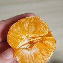 광선농장 이미지