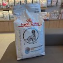 평촌나무동물병원 | [공지] 부평24시 산곡나무동물병원 비장제거 수술 내돈내산 후기