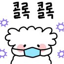 24시 온누리동물메디컬센터 이미지