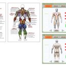 노바복스 이미지