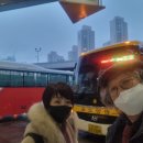 치유의 바람 이미지