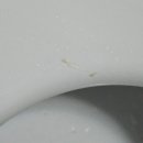 휴엔조이 이미지