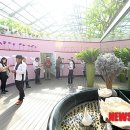 비원허브