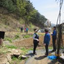 백마농장 이미지