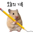 서면 덴바스타 센트럴 이미지