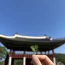 남한산성 추천 카페 - 남한산성 카페 숨 솔직 리뷰 및 후기