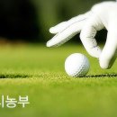 영천C.C 이미지