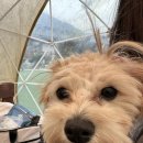 씨앤비어 이미지