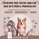 강릉 반려견 호텔 유치원 로젯펫살롱 세인트존스호텔점 | [ 강릉 ] 반려견 유치원 / 반려견 호텔 / 반려견 미용 / 반려견 행동 교정 로젯펫살롱