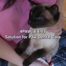 포포(For paw) 이미지