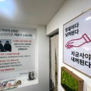 486펫콜 경남 김해점 | 김해가구거리 비다디자인가구 거실소파•식탁 구입후기
