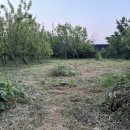 무성농장 이미지