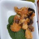 청호활어회센터 이미지