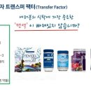 여주포라이프