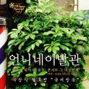 언니네 이발관 콘서트 네이버블로그