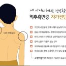 라인케어필라테스