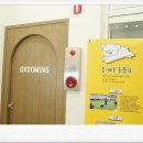대구애견미용 모여라솜뭉치 | 대구애견미용 모여라솜뭉치 강아지가 좋아하는 곳