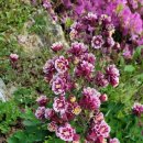 월현농장 이미지