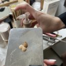 방구석 메이크업 | 부산 스모키걸 세나쌤 - 외항사 메이크업 원데이 클래스 후기