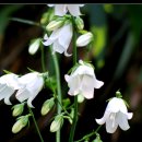 심포리마을회관 이미지