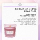 소이전기조명 이미지