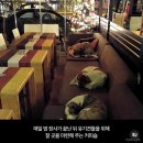 다정삽겹 | 24년 9월 요약본