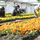 백양산 양묘장 이미지