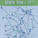 아침향기 이미지