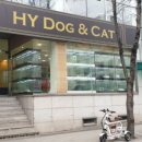 하이도그 이미지