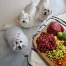 어썸테일즈 이미지