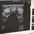 제이미즈 산부인과의원 이미지