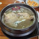 시골보신탕 - 천안시 동남구 충절로 866 | [공지] (리뷰) 기장 철마 삼계탕 맛집, [아홉산구지뽕상계탕] 건강하게 몸보신 하기 좋은 곳