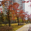 칠보부동산공인중개사사무소 이미지