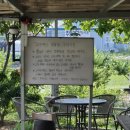 만종대형약국 | 원주 아이와가볼만한곳 6월 한달만 오디따기 체험이 가능한 ‘누구네오디농장’ 앵두,산딸기까지