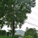 산곡초교입구 등산로 이미지