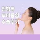 동부약국 | 접형동부비동염 수술 후기 4탄