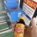 비타민모터스 이미지