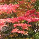 빛과진리 노인교실 | 양력(陽曆) 11월 7일은 겨울이 시작된다는 입동(立冬)입니다.