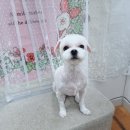 올리스 일산백석점 이미지