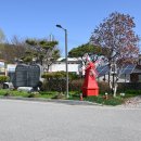 경기둘레길 양평27코스 | 2026.04.18. 경기둘레길 양평 27코스 - 고사목 공지