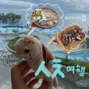 2025.05.24 [속초 2일차] 동명항 오징어 난전 회 2마리, 통찜 2마리 냠냠