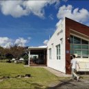 종달구경 이미지