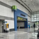 엑스포 | 2026 코네일엑스포 후기/입점브랜드, 세일 정보