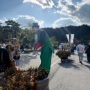 유기농테마파크 생생마켓 | 대구 가을축제 | 2025 군위 바베큐 축제 생생후기