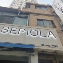 세삐올라(sepiola)