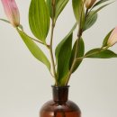 마루flower 이미지